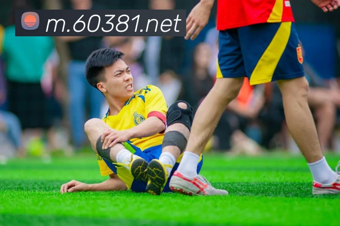 8868体育APP 封面图